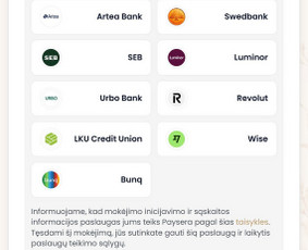 Mokėjimo sistemų pajungimas - Profesionalios Interneto Svetainės ir Verslo Sprendimai - 1