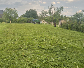 Statybos, apdaila - Žolės pjovimas trimeriu - 1