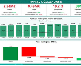 Skaitmenizacijos paslaugos - Pilno ciklo verslo analitkos paslaugos / Power Bi ekspertas - 4