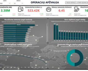 Skaitmenizacijos paslaugos - Pilno ciklo verslo analitkos paslaugos / Power Bi ekspertas - 2