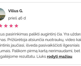 Šunų priežiūra namuose / Rasa / Darbų pavyzdys ID 4477128