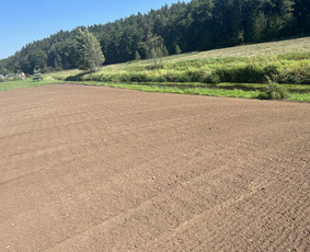 Vejos įrengimas Bobcat nuoma Pagrindų įrengimas / MB ''Lauko statyba'' / Darbų pavyzdys ID 4477750