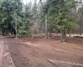 Vejos įrengimas Bobcat nuoma Pagrindų įrengimas / MB ''Lauko statyba'' / Darbų pavyzdys ID 4477758