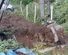 Pievų &scaron;ienavimas - Sutvarkysim aplinką, žolės, krūmų pjovimas, &scaron;akų i&scaron;vežimas - 4