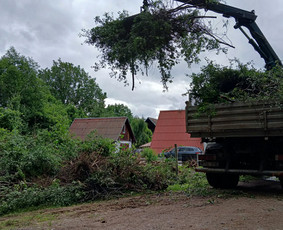 Vejos priežiūra, įrengimas - Sutvarkysim aplinką, žolės, krūmų pjovimas, &scaron;akų i&scaron;vežimas - 4
