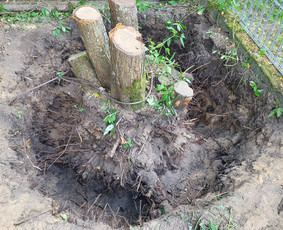 Vejos priežiūra, įrengimas - Sutvarkysim aplinką, žolės, krūmų pjovimas, &scaron;akų i&scaron;vežimas - 3