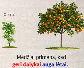 Sveikata, gydymas - Psichologas&ndash;psichoterapeutas Online - 3