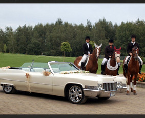 Prestižas, Komfortas Ir Saugumas! / AutoComfort / Darbų pavyzdys ID 4478422