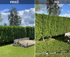 Vejos priežiūra, įrengimas - Aplinkos priežiūra / Žolės pjovimas / Sodininkas - 1