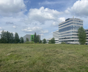 Vejos priežiūra, įrengimas - Žolės pjovimas trimeriais,pievų &scaron;ienavimas ir tt. - 1