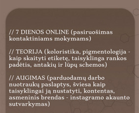 Baziniai Permanentinio Makiažo Mokymai / Kristina Bulkauskienė / Darbų pavyzdys ID 4479292