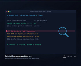 Programuotojai - Įsiskverbimo testavimas Web, Api, Saas ir Wordpress - 4