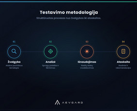 Programavimas su Symfony (PHP) - Įsiskverbimo testavimas Web, Api, Saas ir Wordpress - 4