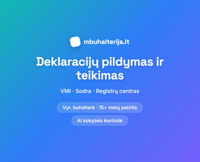Buhalterio konsultacija - Mb ir UAB apskaita su Ai kokybės kontrole - 4