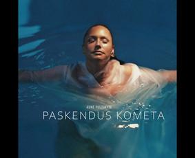 Dainininkai, muzikos grupės - Atlikėja, renginių vedimas, Dj paslaugos - 2
