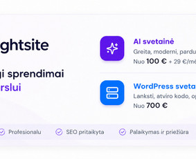 El. parduotuvių kūrimas - Ai svetainių kūrimas Wordpress El. parduotuvės - 1