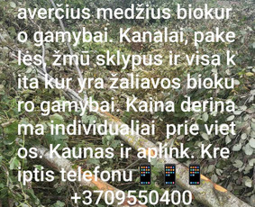 Medžių genėjimas, pjovimas - Perkame krūmus biokuro gamybai - 4