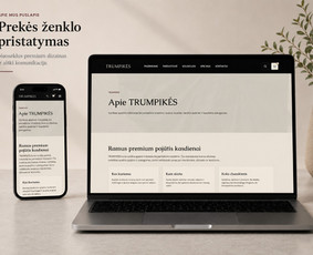 El. parduotuvių kūrimas - Reprezentacinių svetainių ir el. parduotuvių kūrimas - 2