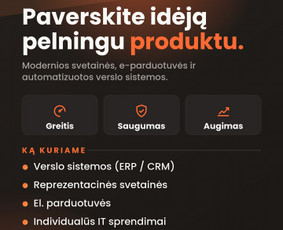 Svetainių kūrimas - Svetainių kūrimas, Seo ir verslo procesų skaitmenizavimas - 1