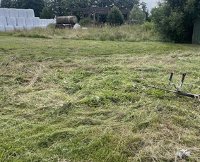 Pievų &scaron;ienavimas - Aplinkos priežiūra / Žolės pjovimas / Sodininkas - 2