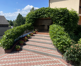 Aplinkos priežiūra / Žolės pjovimas / Sodininkas / Edvinas / Darbų pavyzdys ID 4482906