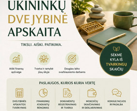 Paslaugos verslui - Es projektų rengimas ir konsultacija - 4