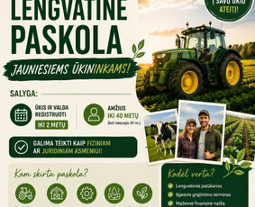 Paslaugos verslui - Es projektų rengimas ir konsultacija - 3