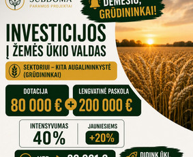 Investicinių projektų rengimas - Es projektų rengimas ir konsultacija - 1