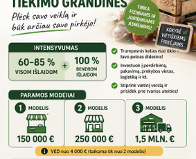 ES paramos projektų rengimas ir administravimas - Es projektų rengimas ir konsultacija - 2
