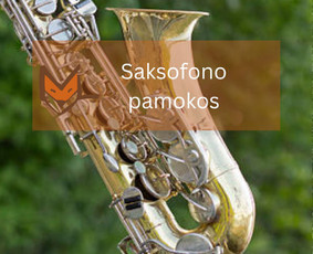 Būgnai, fortepijonas, dainavimas, fleita, smuikas, gitara / Muzikinio ugdymo studija „MUZIKALI LAPĖ“ / Darbų pavyzdys ID 4483412