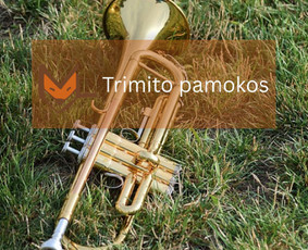 Būgnai, fortepijonas, dainavimas, fleita, smuikas, gitara / Muzikinio ugdymo studija „MUZIKALI LAPĖ“ / Darbų pavyzdys ID 4483414