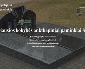 Svetainių dizainas (web design) - Interneto svetainės, Ai sprendimų integravimai, Google Ads - 3