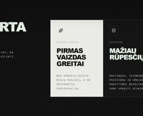 StellarDigital vertės pasiūlymo skilties UX/UI pavyzdys. Akcentuojamas greitas pirmas vaizdas, mažiau techninių rūpesčių ir aiški projekto eiga.