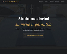 Svetainių dizainas (web design) - Interneto svetainės, Ai sprendimų integravimai, Google Ads - 4