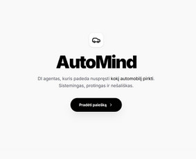 El. parduotuvių kūrimas - Interneto svetainės, Ai sprendimų integravimai, Google Ads - 4