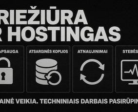 Interneto svetainių kūrimas - Interneto svetainės, Ai sprendimų integravimai, Google Ads - 4