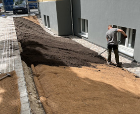 Augalų ir medelių sodinimas - Gyvatvorių karpymas  Vejų įrengimas  Auk&scaron;tos žolės pjovima - 4