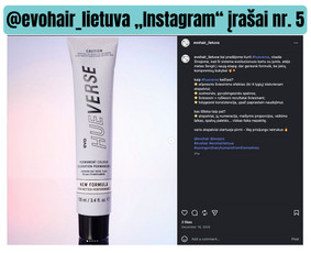 Kalba – mano įrankis, kūryba – darbo metodas / Mila Mašauskaitė / Darbų pavyzdys ID 4484506