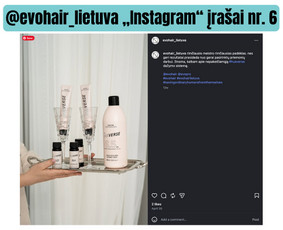 Kalba – mano įrankis, kūryba – darbo metodas / Mila Mašauskaitė / Darbų pavyzdys ID 4484508