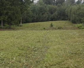 Žolės pjovimas trimeriu / Giedrius Kareskevičius / Darbų pavyzdys ID 4484574