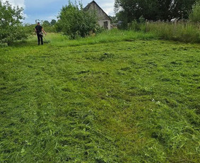 Žolės pjovimas trimeriu / Giedrius Kareskevičius / Darbų pavyzdys ID 4484576