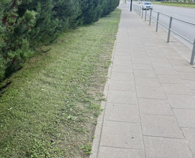 Aplinka, sodas - Žolės pjovimas trimeriu - 4