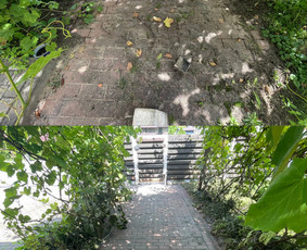 Visos plovimo ir valymo paslaugos– visoje Lietuvoje! / ŠVAROS DOKAS / Darbų pavyzdys ID 4485124
