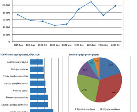 Excel/google Sheets: automatizavimas, ataskaitos, analizė / Matas / Darbų pavyzdys ID 4485770