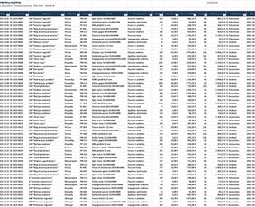 Excel/google Sheets: automatizavimas, ataskaitos, analizė / Matas / Darbų pavyzdys ID 4485778