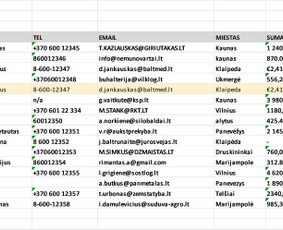 Excel/google Sheets: automatizavimas, ataskaitos, analizė / Matas / Darbų pavyzdys ID 4485792