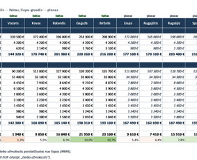 Verslo įrankiai ir automatizavimas: Vvs, ataskaitos, Excel / Matas / Darbų pavyzdys ID 4485814