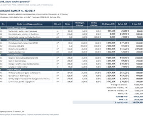 Microsoft Office Excel specialistai - Excel/google Sheets: automatizavimas, ataskaitos, analizė - 3