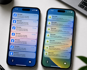 Meta Ads specialistas / Erikas Anušauskas / Darbų pavyzdys ID 4485944