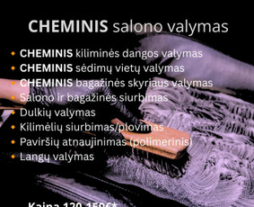Cheminis salono valymas - "Vakuauto" &scaron;vara Jūsų automobiliui! - 3